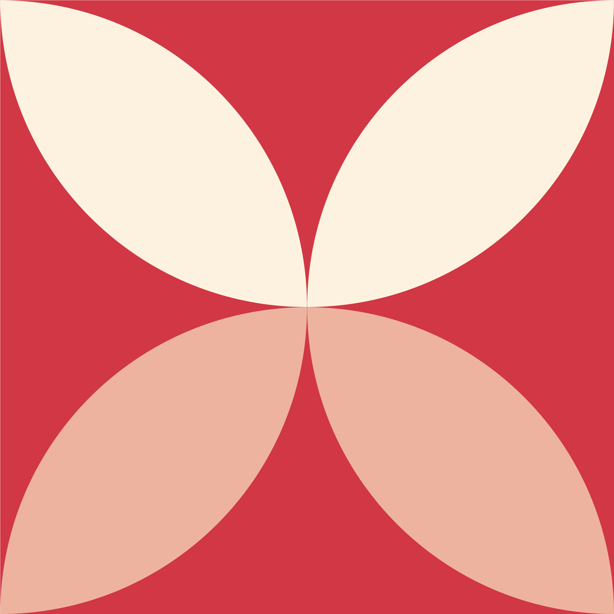 Bloom 1