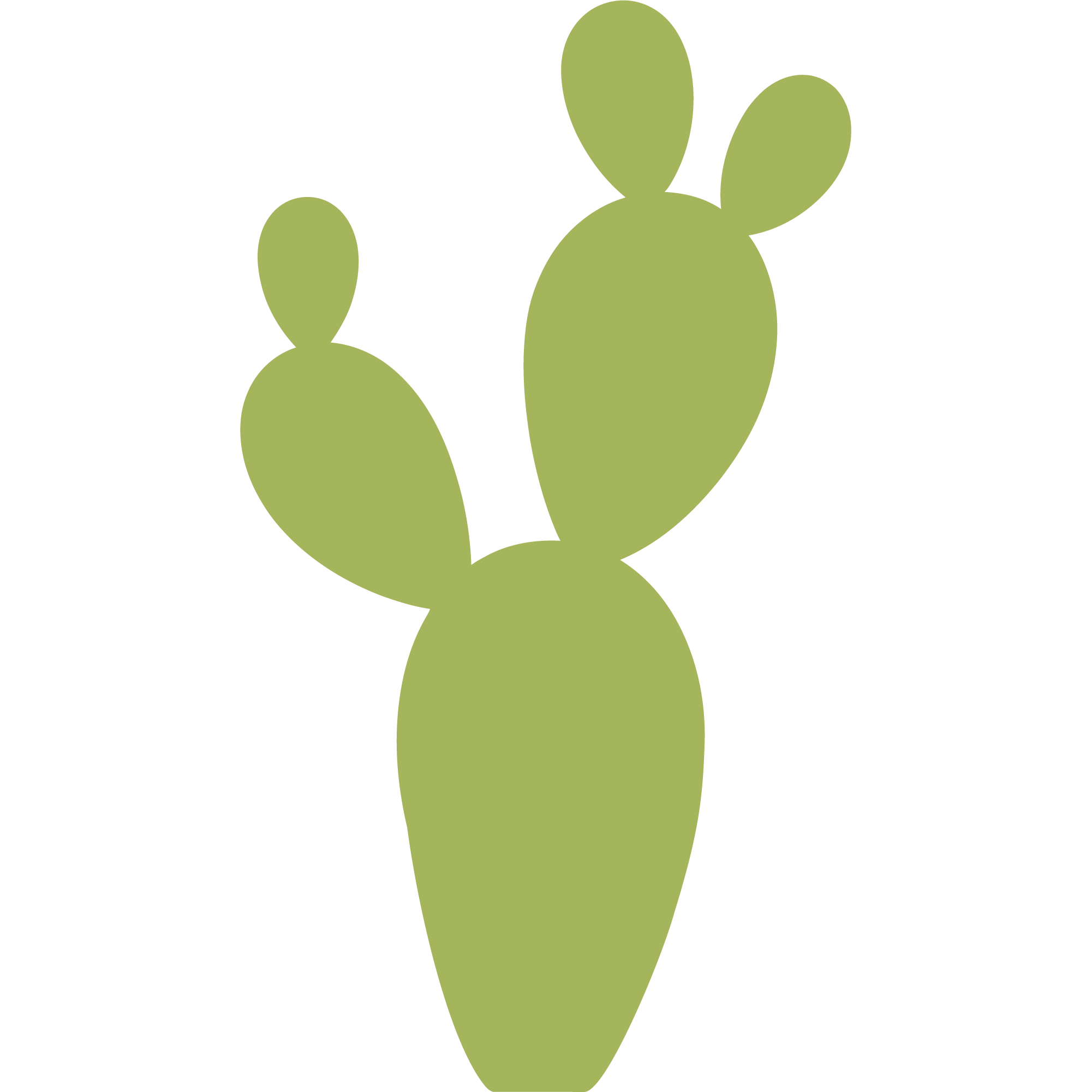 Cactus 1